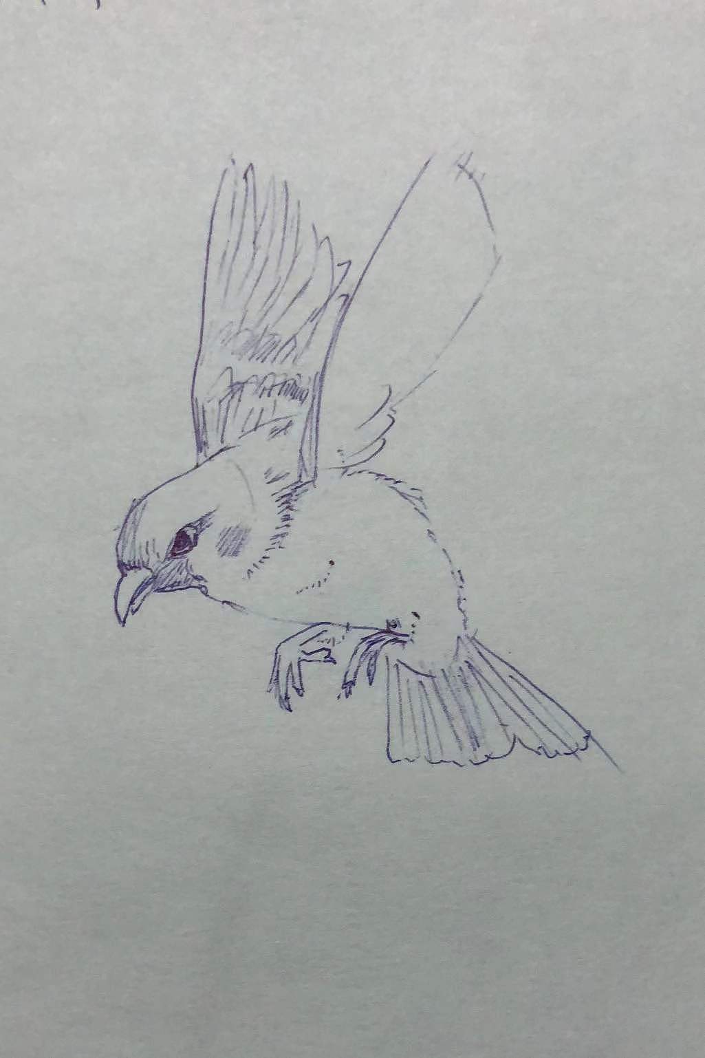 手绘速写打卡17（图ZMzI1MDA1NzQw） - 创作习作 - 站酷设计师老林学画画原创素材 - 站酷ZCOOL