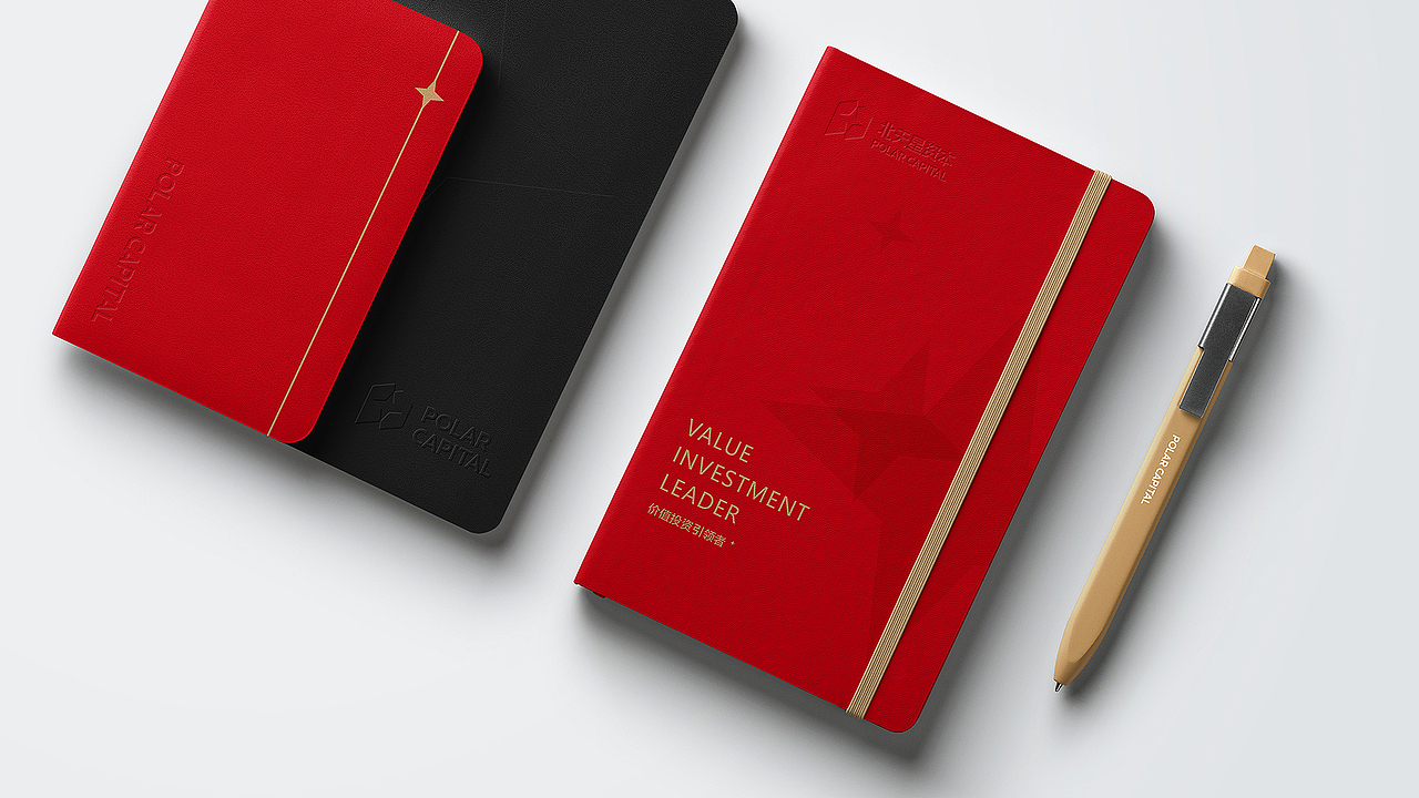 品牌设计,专业logo设计,VI设计案例分享 | 北天星资本（图ZMzU2ODA5Nzgw） - Logo - 站酷设计师尼高品牌设计原创素材 - 站酷ZCOOL