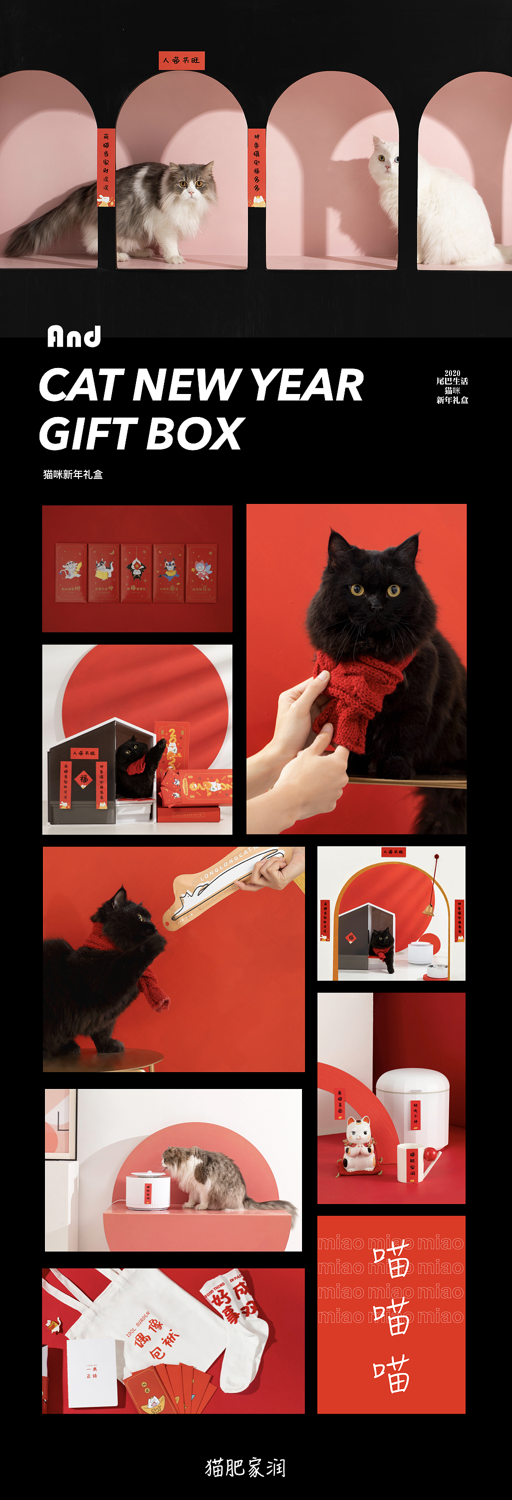 #WOW小猫咪发财了：喵喵~~（图ZMzE3MzAyMjIw） - 产品摄影 - 站酷设计师And视觉原创素材 - 站酷ZCOOL