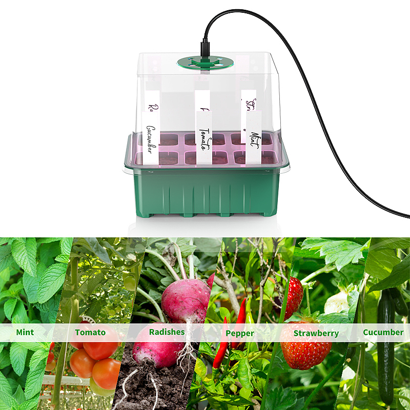 育苗盆渲染 亚马逊图片设计