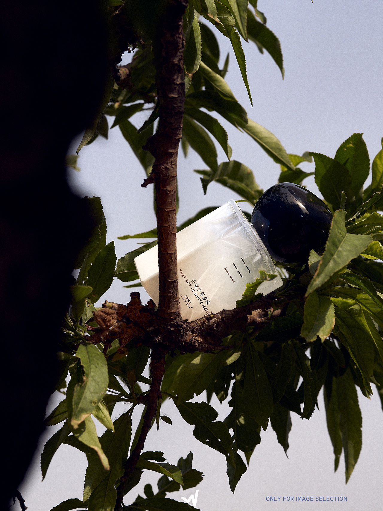 香水创意KV拍摄（图ZMzQwMDU4MDY0） - 产品摄影 - 站酷设计师爆躁视觉工作室原创素材 - 站酷ZCOOL