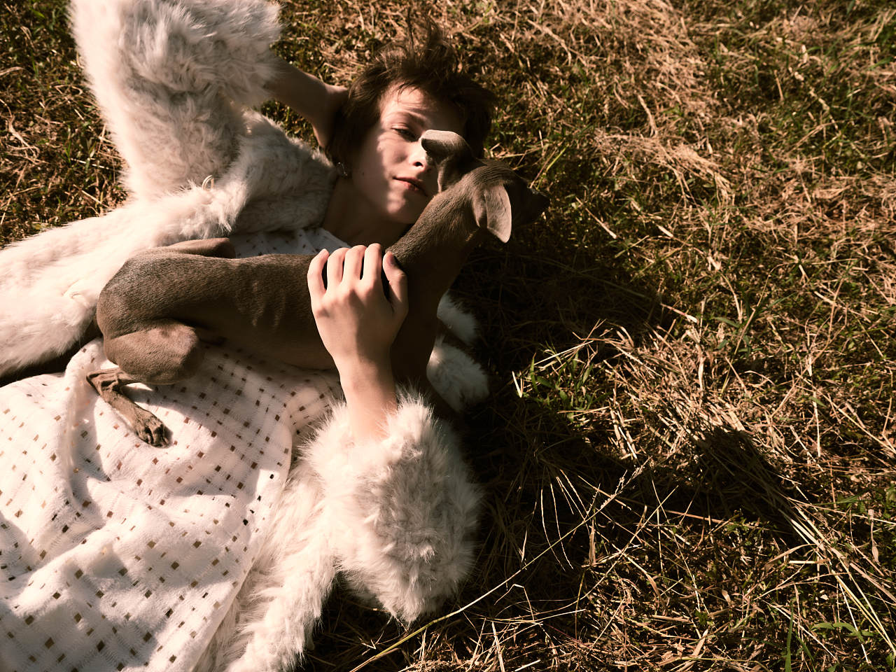 Symbiotic relationship/knowza宠物服饰形象