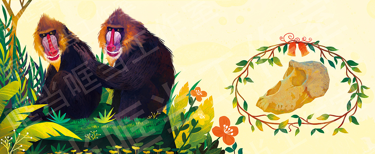 少儿科普百科全书插画（一）