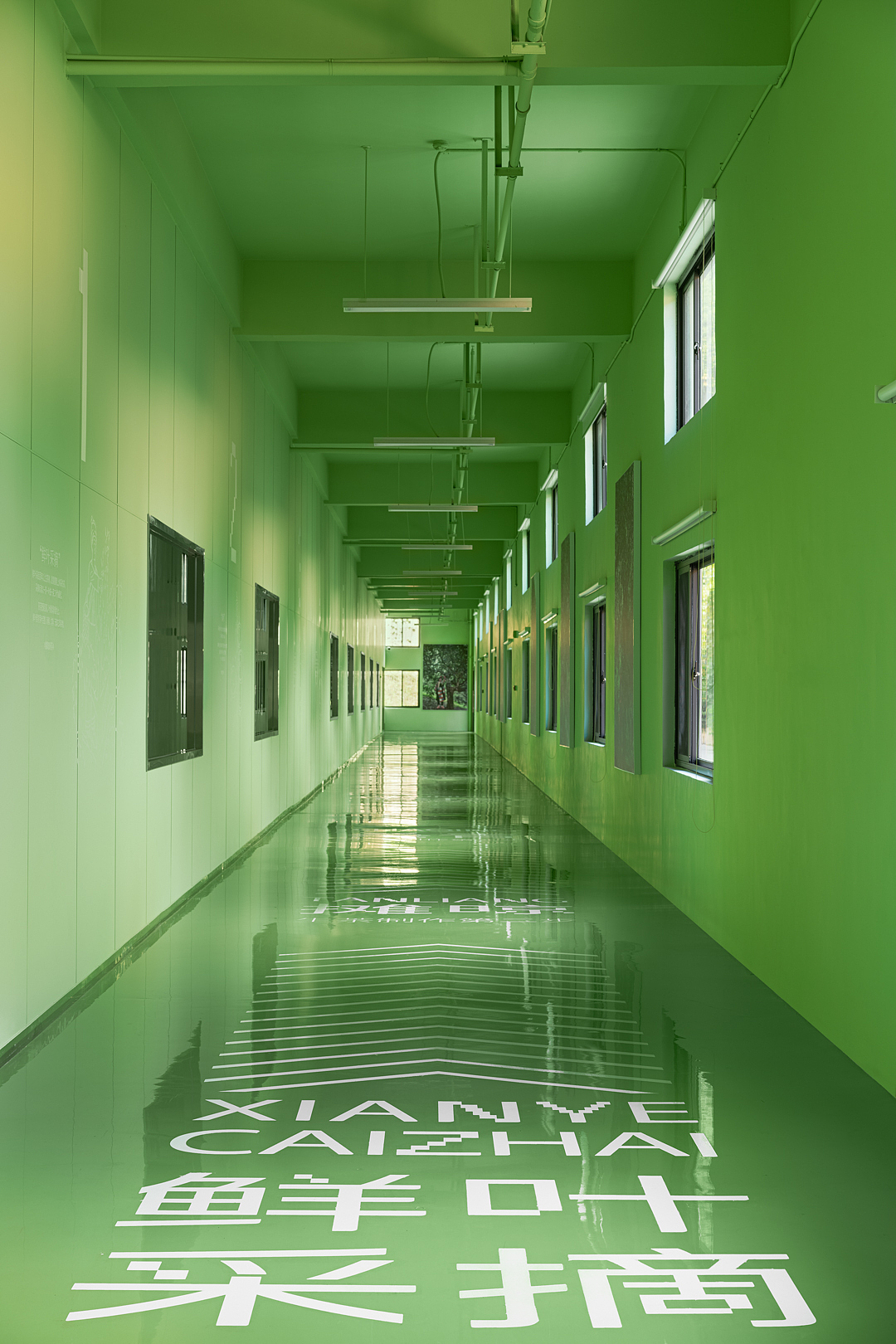 雨林古树茶展厅（图ZMzU3OTI0NTg4） - 环境/建筑摄影 - 站酷设计师摄影师康超凡原创素材 - 站酷ZCOOL