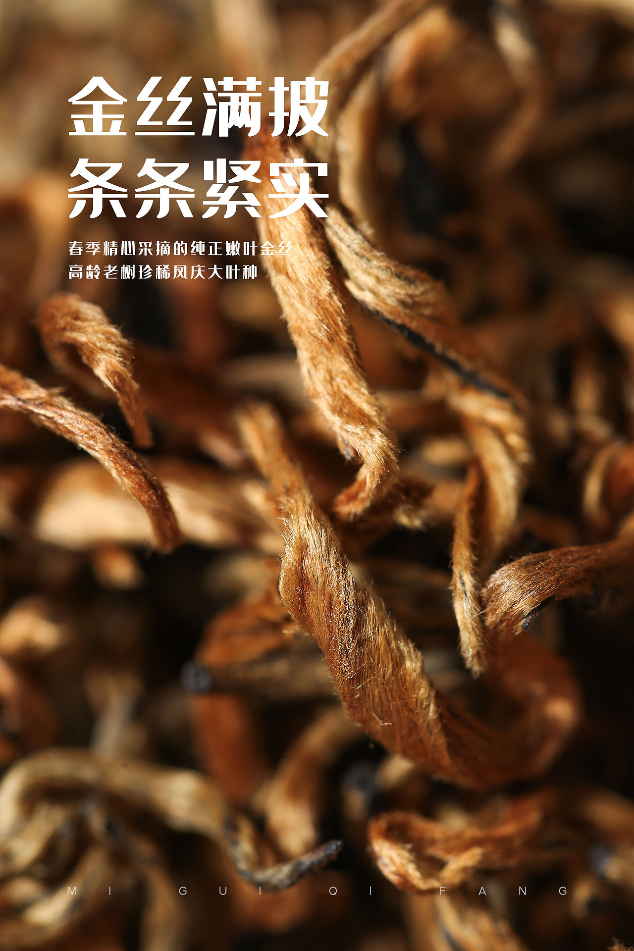 茶叶摄影(蜜桂齐芳)