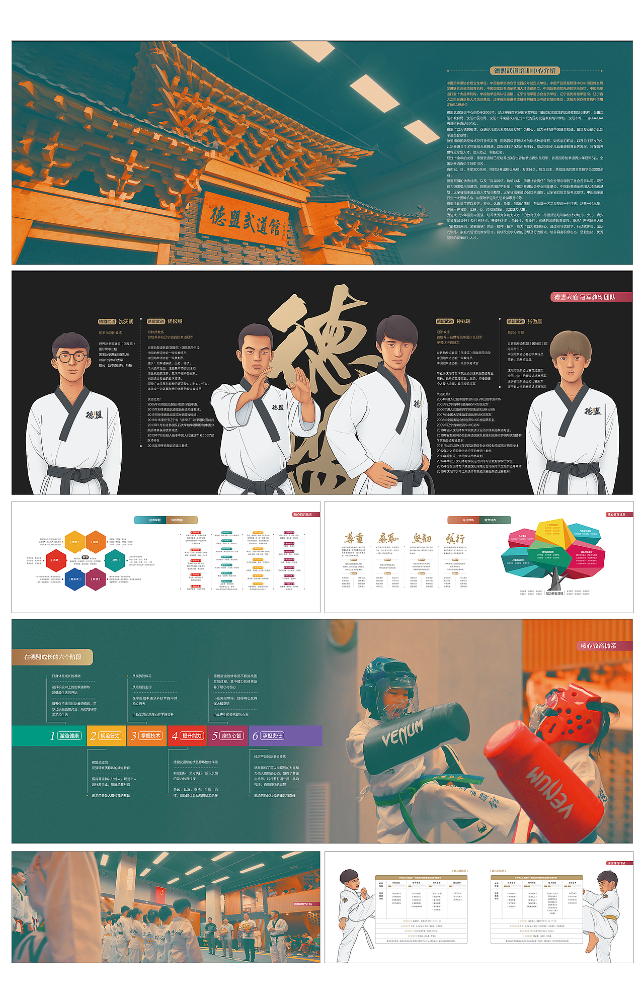 德盟武道品牌全案-视觉系统