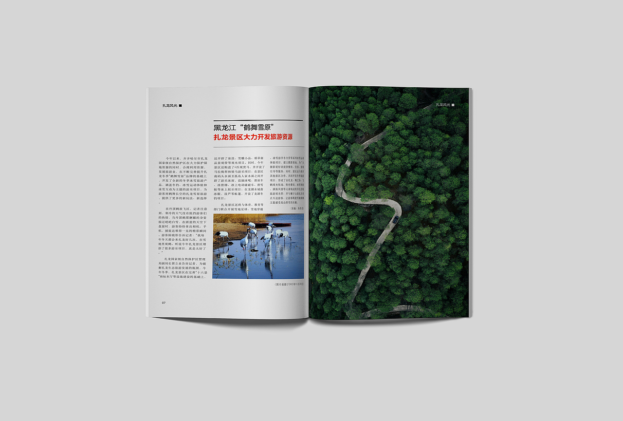 扎龙自然保护区旅游宣传画册+门票设计(图ZMzIzMTI1Njcy) - 宣传物料 - 站酷设计师柠檬味的小熊原创素材 - 站酷ZCOOL