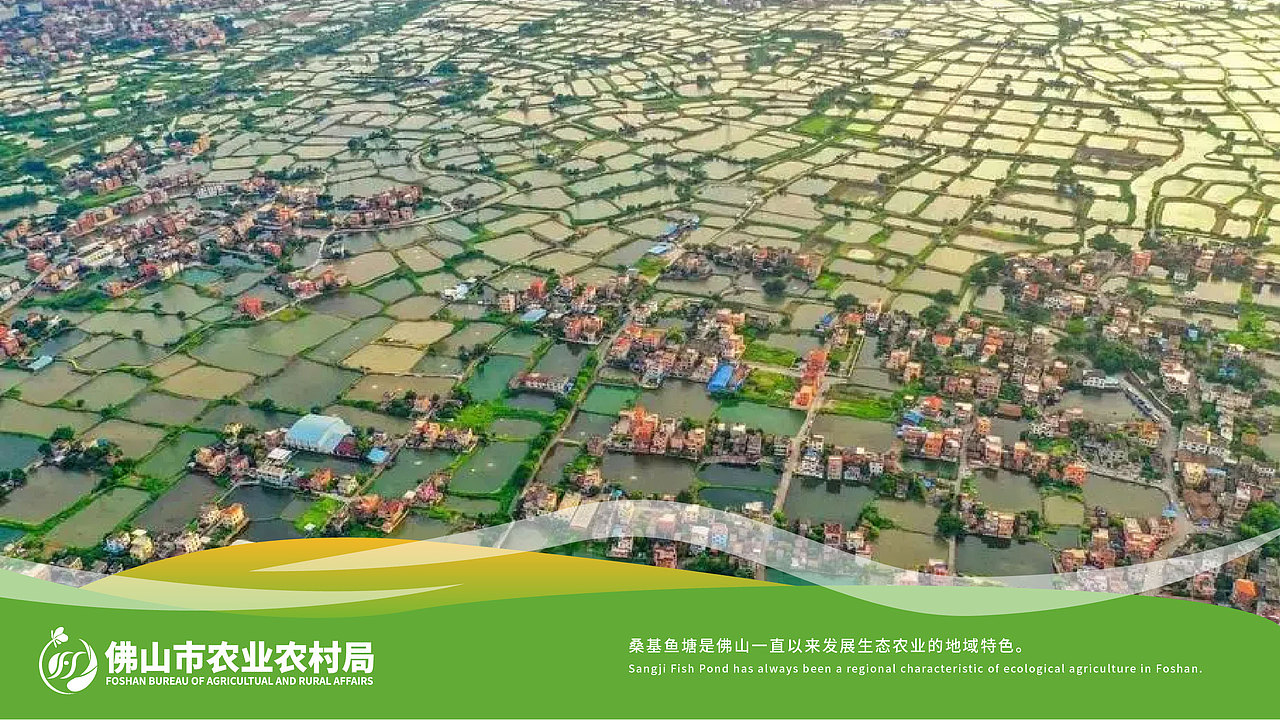 品牌设计 | 佛山农业农村局 | 政企logo | 升级优化