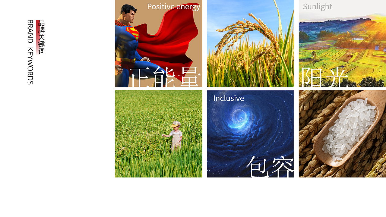 宝亮大米品牌全案x一棵树|大米包装设计|IP设计