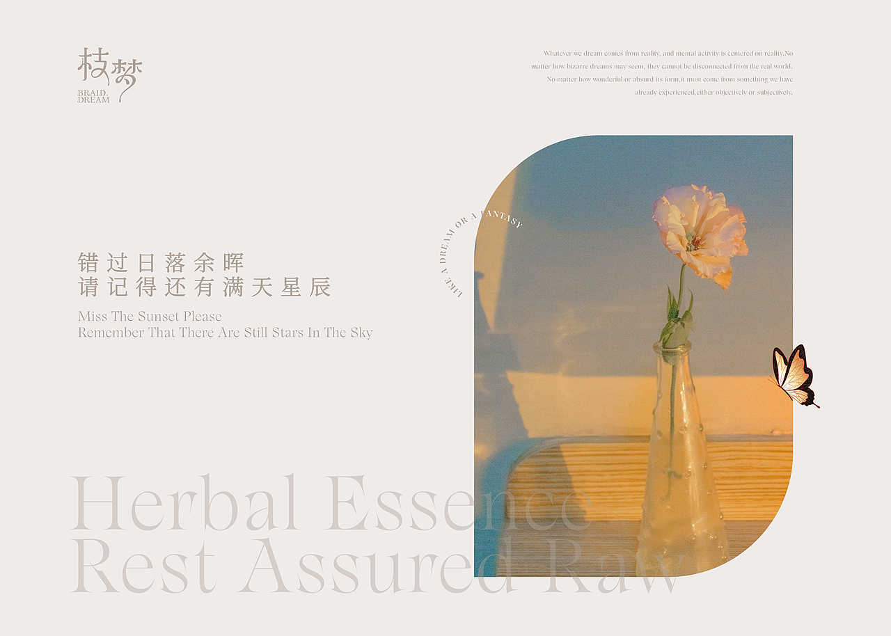 【枝梦】养生品牌设计