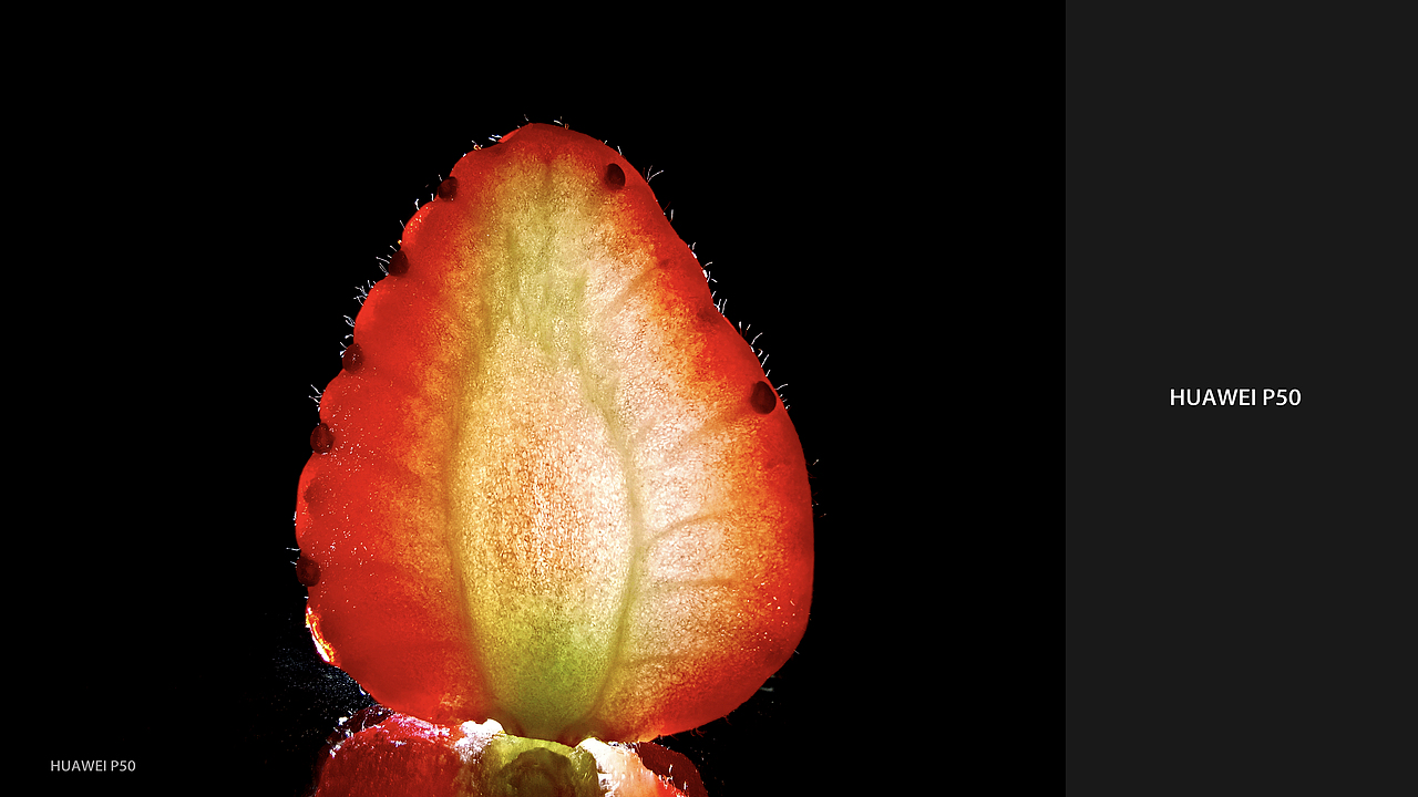 华为P50海外版手机样张拍摄