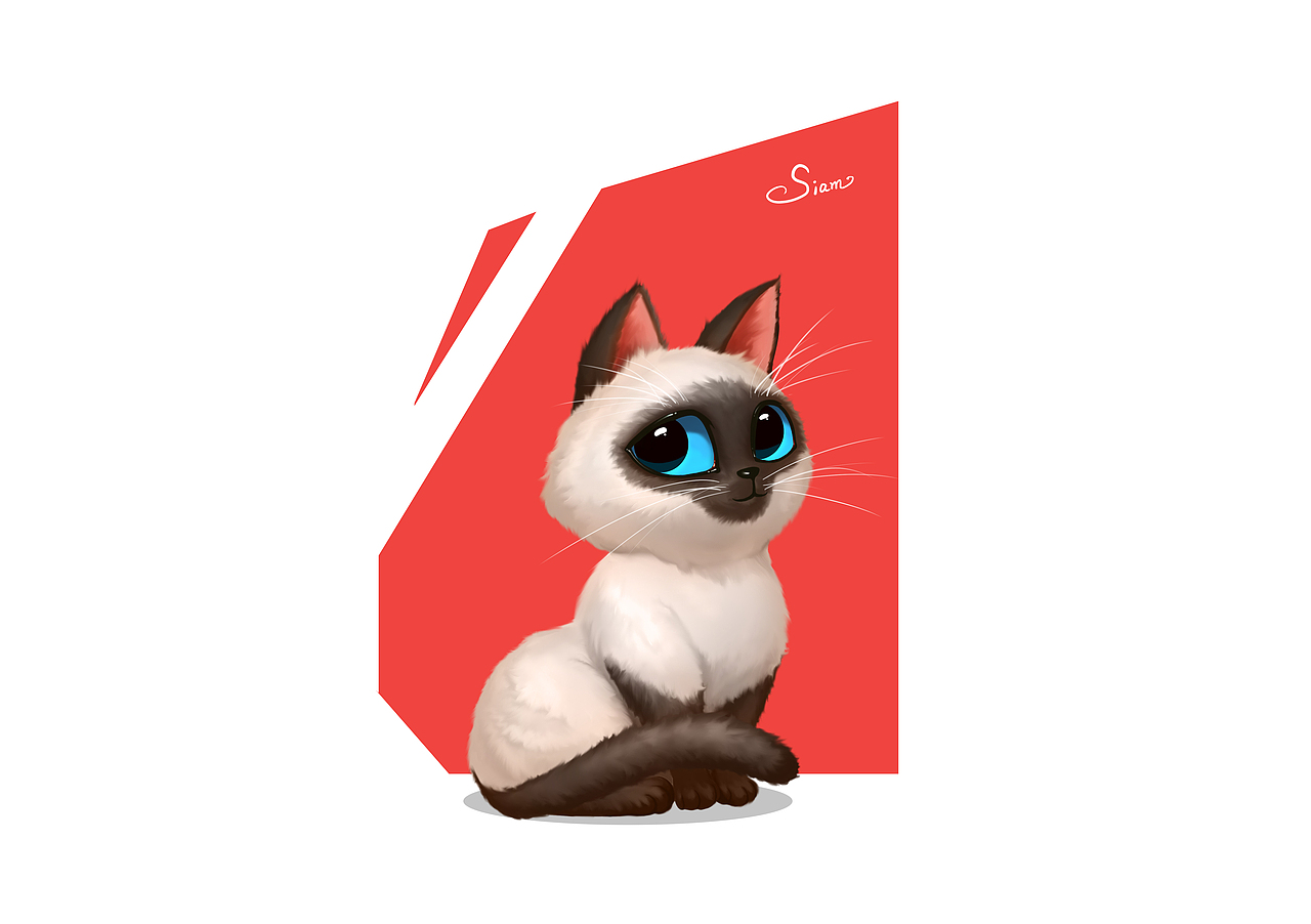 系列猫咪原画-加菲,布偶,波斯,黑猫,暹罗,折耳