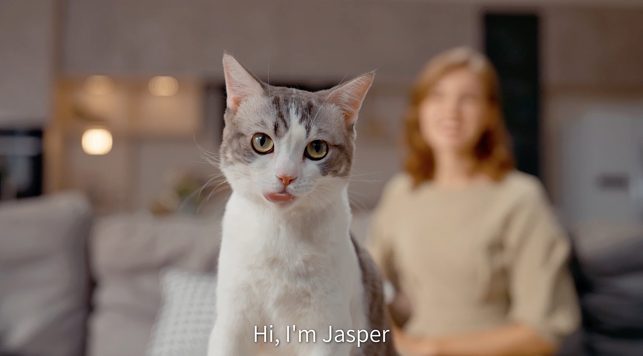 亚马逊视频 饮水器（图ZMzYzNzYzNzUy） - 宠物摄影 - 站酷设计师MY_STUDIO原创素材 - 站酷ZCOOL