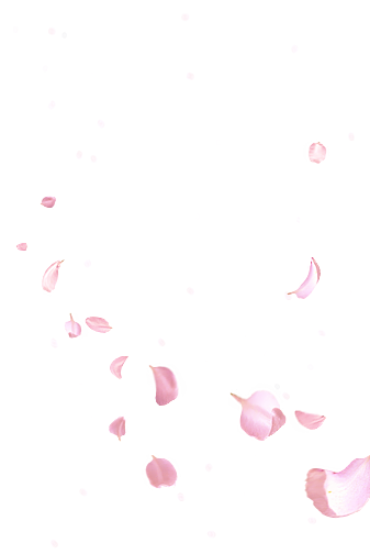 服装banner图，女款衣服轮播图（图ZMzE5MTYwMzc2） - 休闲/流行服饰 - 站酷设计师TZLY原创素材 - 站酷ZCOOL