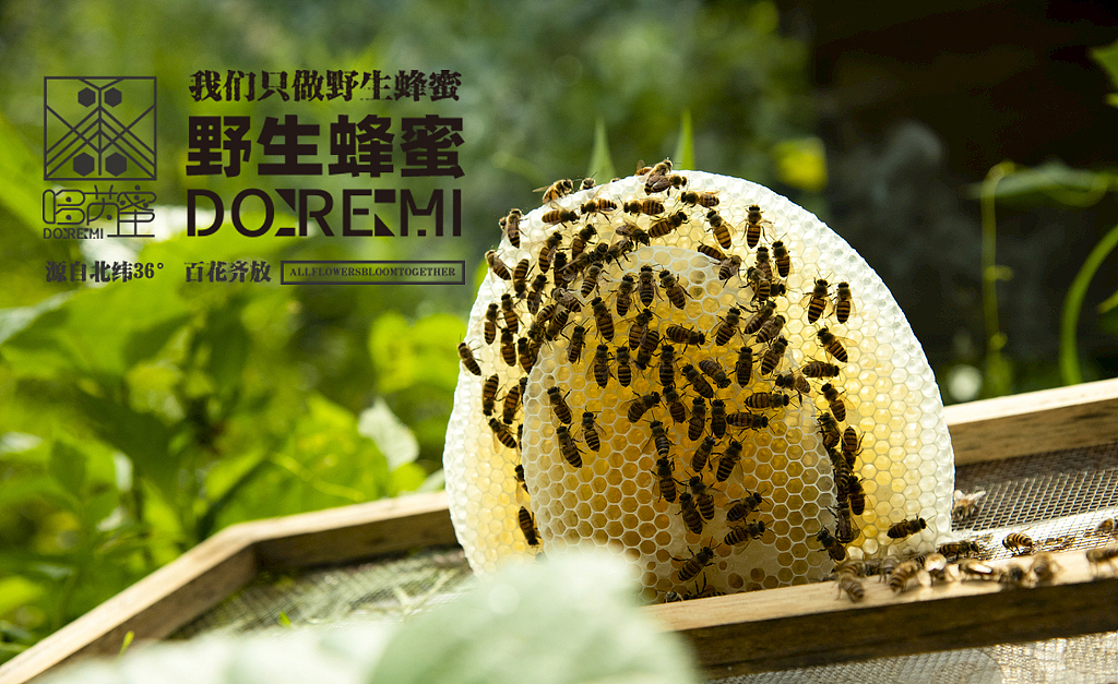 蜂蜜包装设计 蜂蜜（图ZMzI2OTE4OTI4） - 包装 - 站酷设计师方知有几原创素材 - 站酷ZCOOL