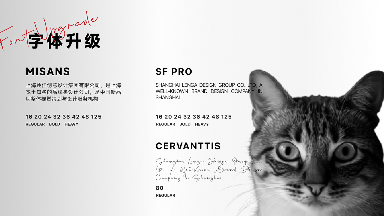 【福贝宠食】官网改版