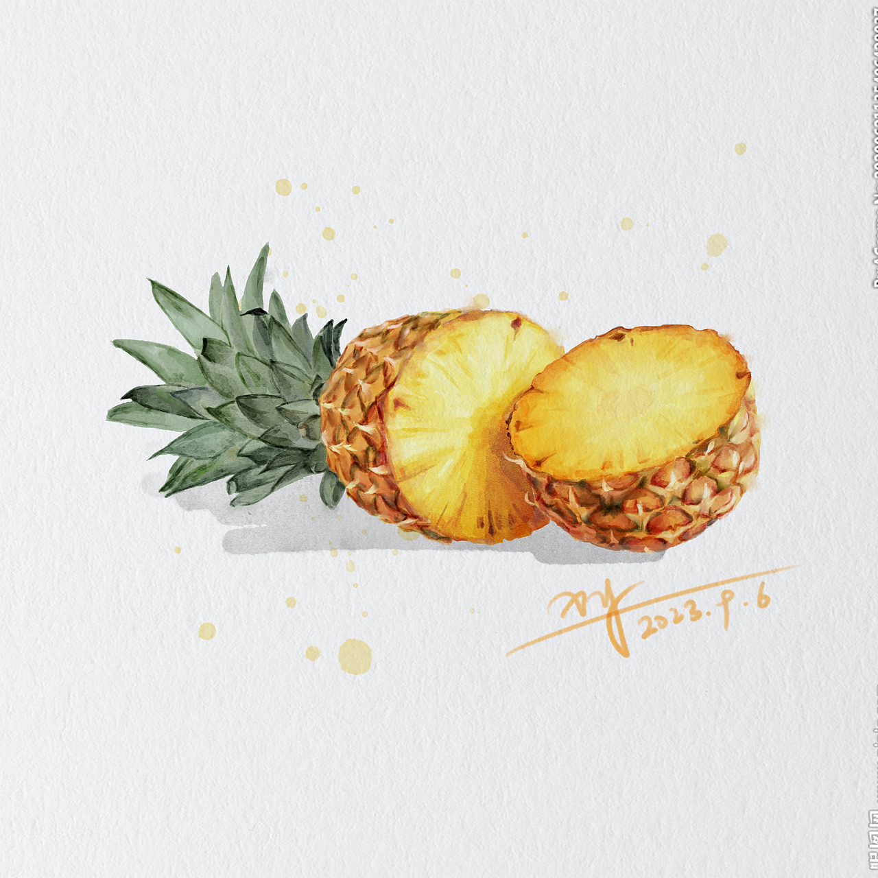 仿水彩/板绘/菠萝（图ZMzUwMjM0MDA4） - 创作习作 - 站酷设计师梦游帮帮主原创素材 - 站酷ZCOOL