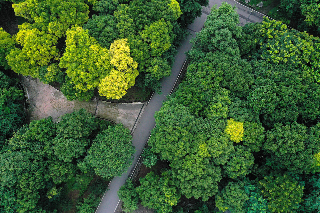 四川美院沙坪坝校区(雾都名不虚传)