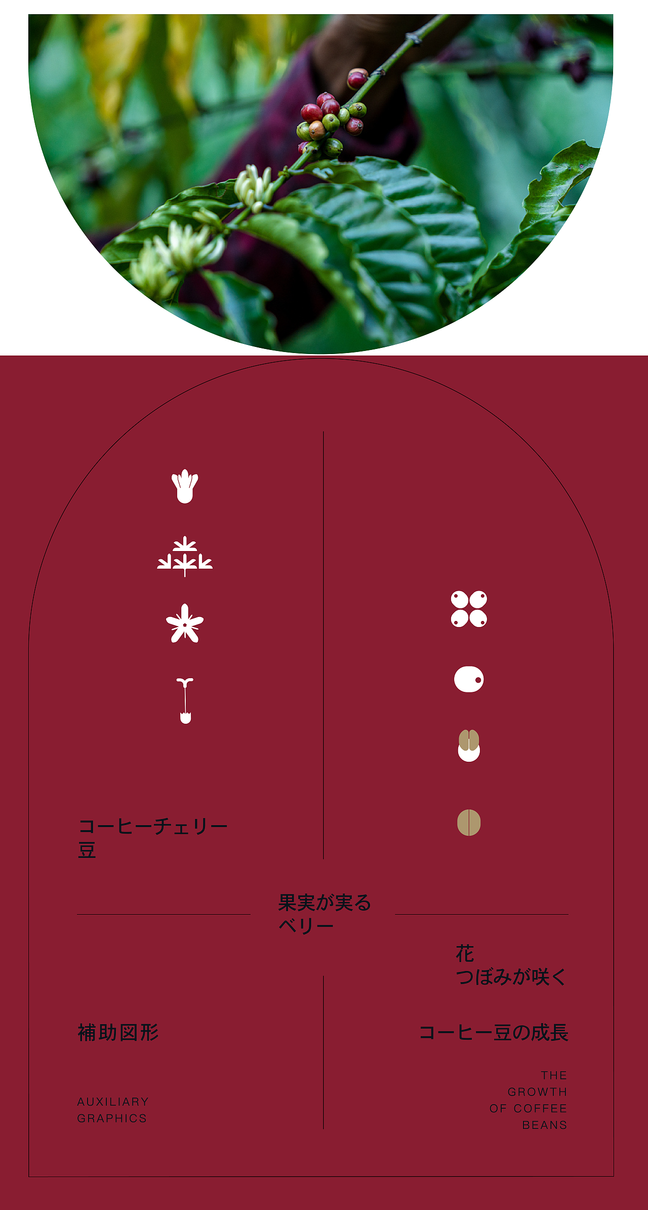 Masako雅子咖啡系列包装+VI标志(图ZMzU0NDAzNDg0) - 包装 - 站酷设计师米汤Julia原创素材 - 站酷ZCOOL