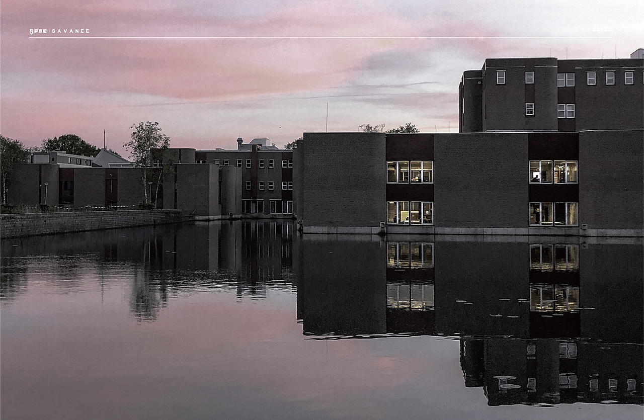 画册 | 萨瓦尼高端入户门宣传画册(防盗门画册)