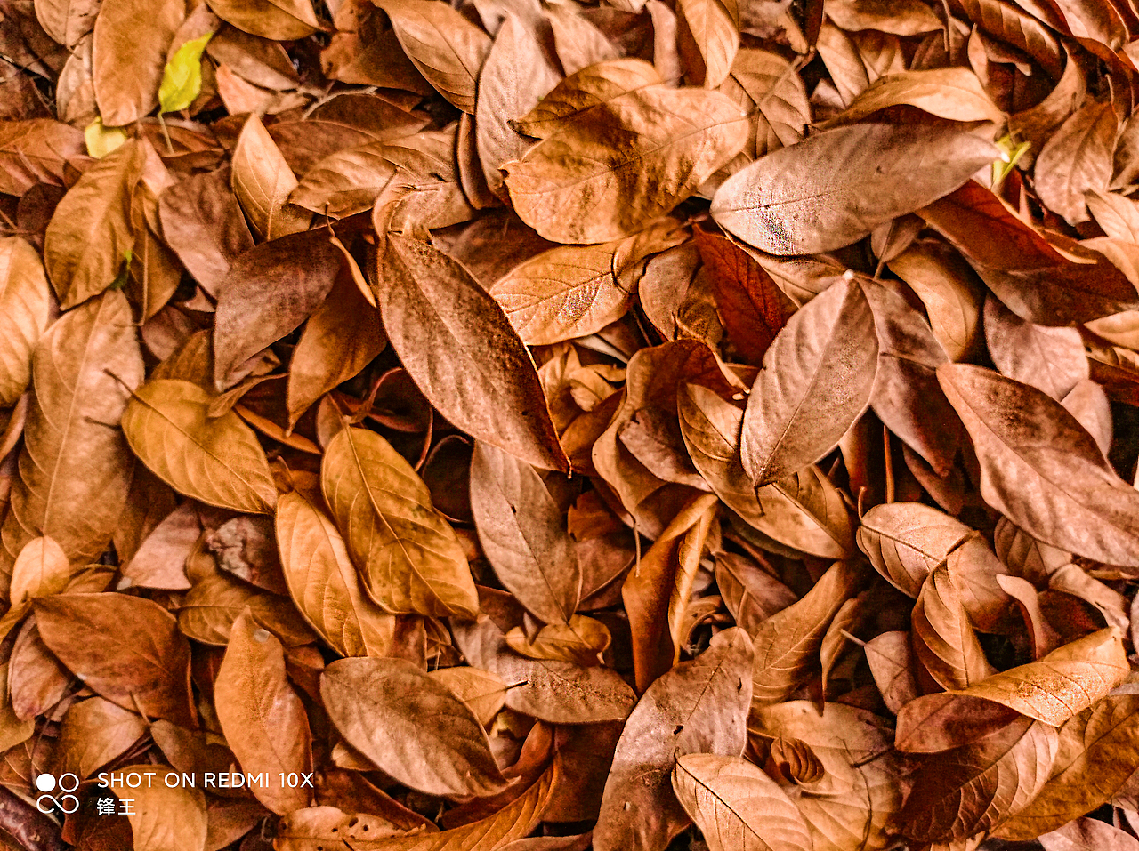 平铺满构图摄影（图ZMzA4NTE2NDU2） - 其他摄影 - 站酷设计师冰锋箭雨原创素材 - 站酷ZCOOL