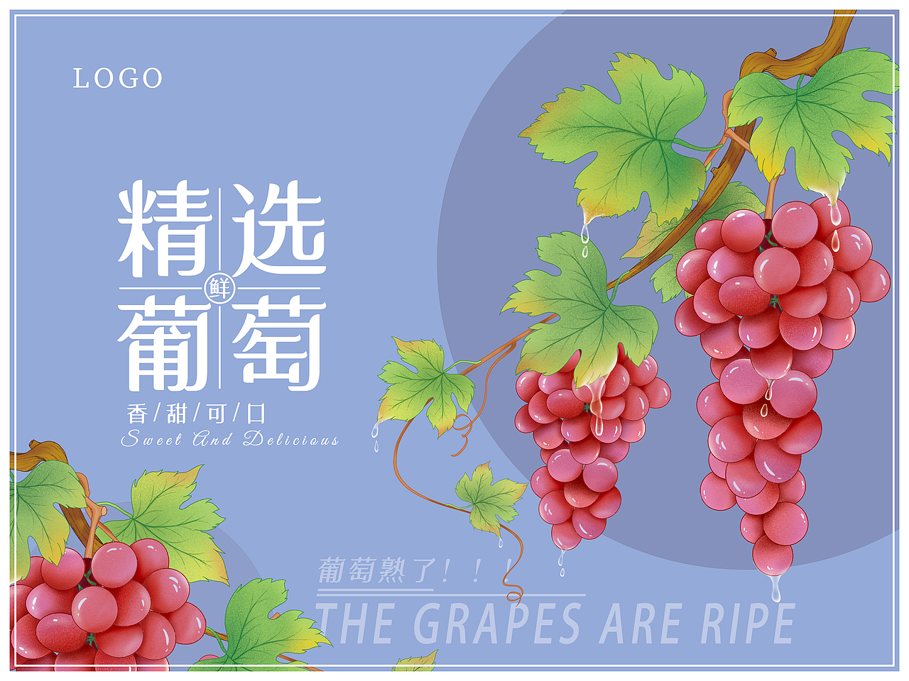 葡萄插画礼盒（图ZMzQ3MDAyNTMy） - 包装 - 站酷设计师璀璨2020原创素材 - 站酷ZCOOL