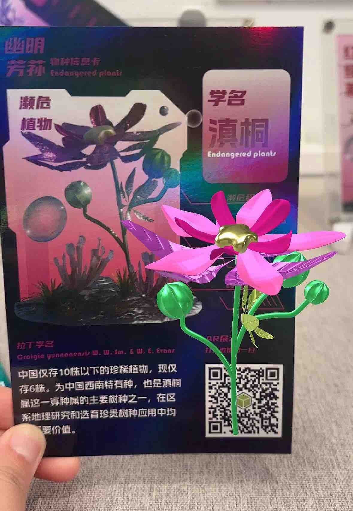 幽明芳荪——中国境内濒危植物数字化视觉形象设计