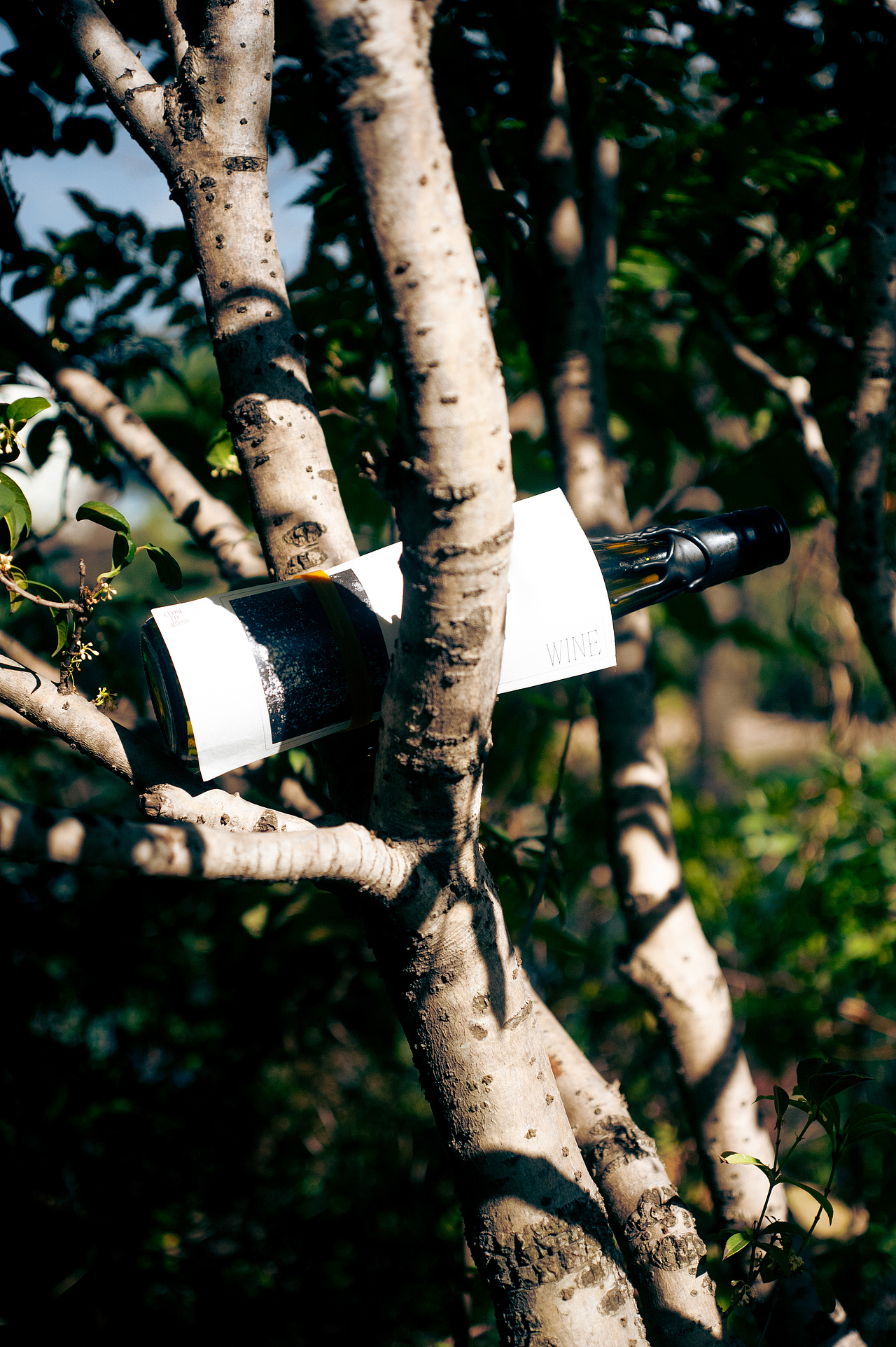 CLOSE TO ABYSS / WINE（图ZMzI4OTkzMDIw） - 包装 - 站酷设计师Pharaoh_Ars_摆薯原创素材 - 站酷ZCOOL