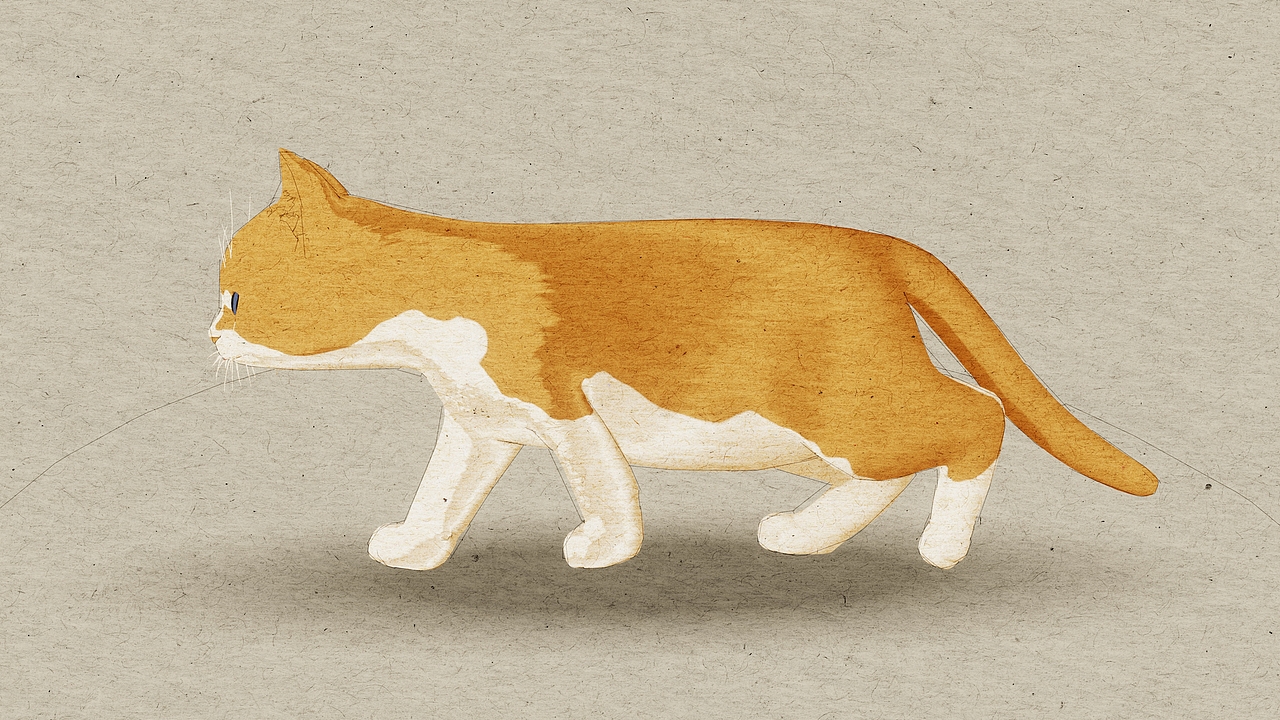 blender-纸上小猫