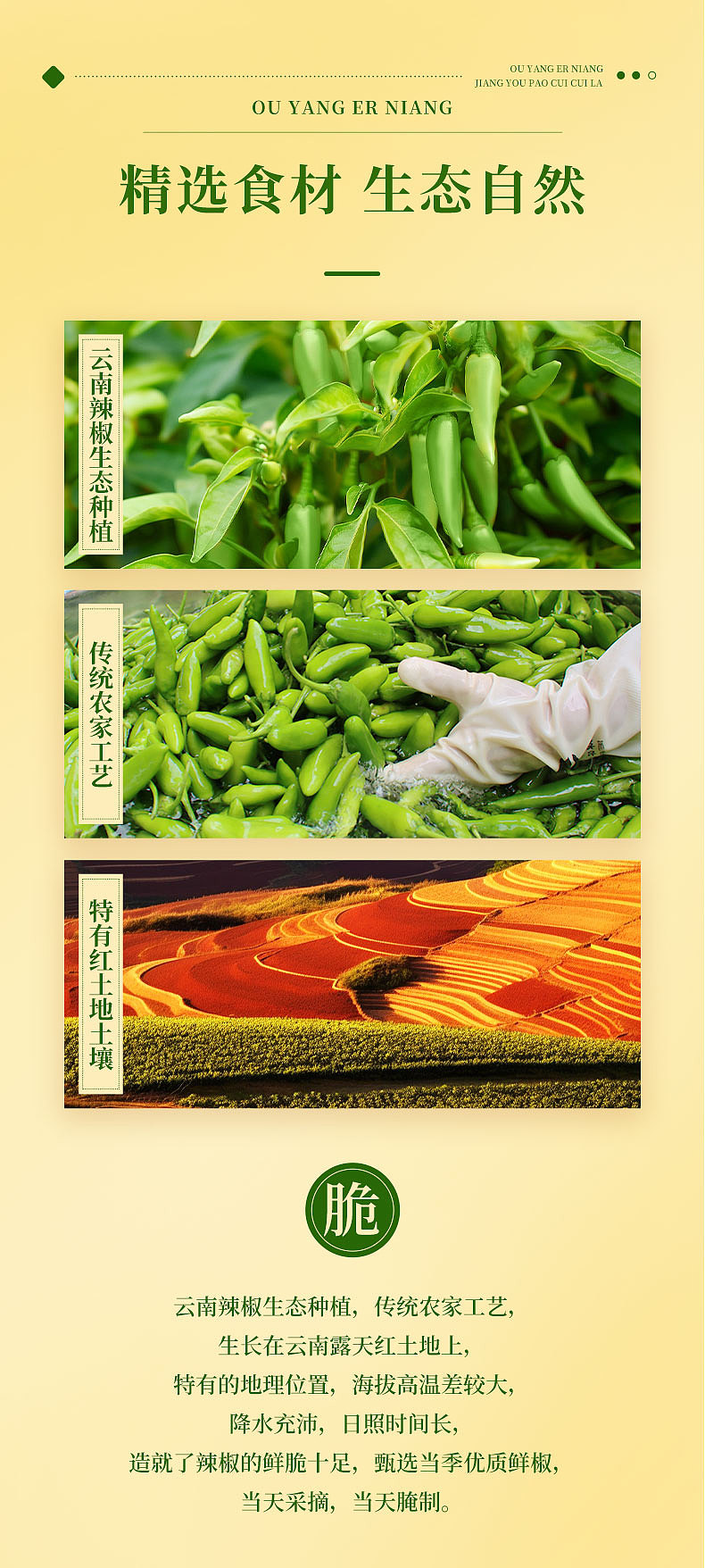 歐陽二孃醬油泡脆脆辣詳情頁設(shè)計（圖ZMzY0NDUzNDQ4） - 電商 - 站酷設(shè)計師做設(shè)計的云木原創(chuàng)素材 - 站酷ZCOOL