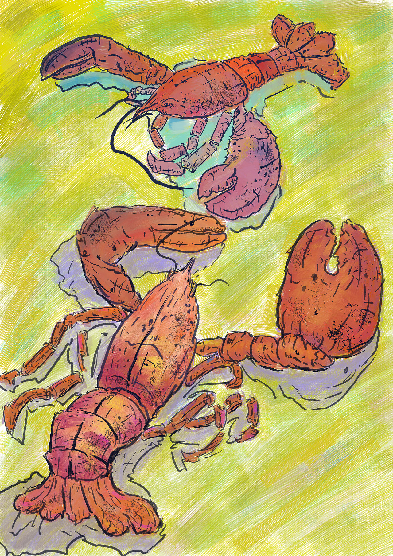 彩色龙虾_xzwei-站酷zcool