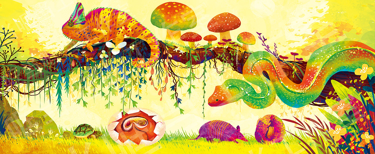 少儿科普百科全书插画（一）