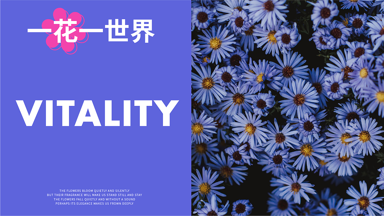 花涧溪品牌提案