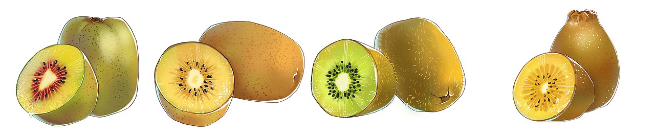 商稿-奇异果（图ZMjk2MzMyODA4） - 其他动漫 - 站酷设计师秃发飘飘原创素材 - 站酷ZCOOL