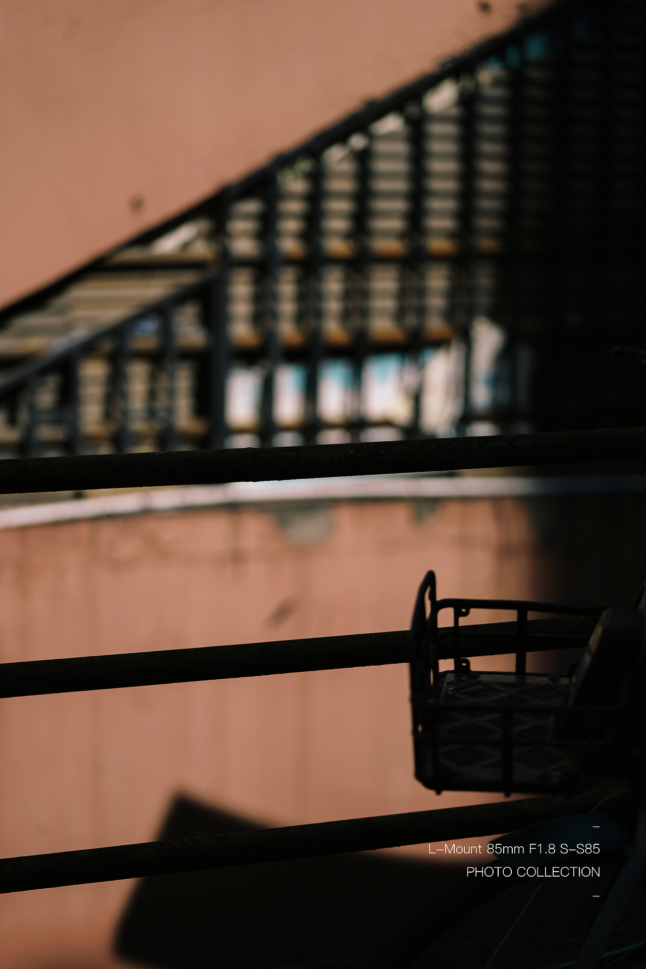 追光而遇,沐光而行