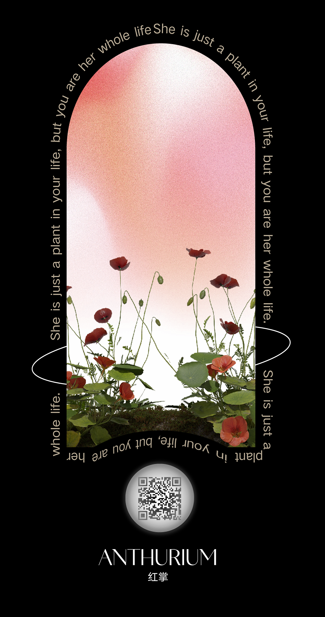 #2022青春答卷#彼岸花园-HANA TEXT