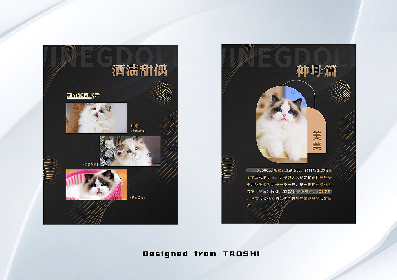 【烁玉流金】小红书推文设计