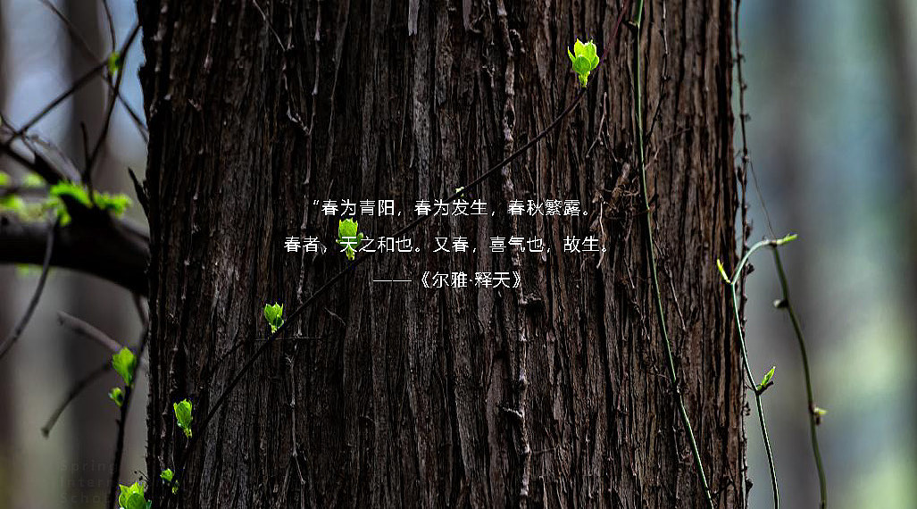 艺术培训 美育logo 学校vi logo 校园vi 教育设计(图ZMzIxMDkyNzM2) - 品牌 - 站酷设计师LOGOUU原创素材 - 站酷ZCOOL