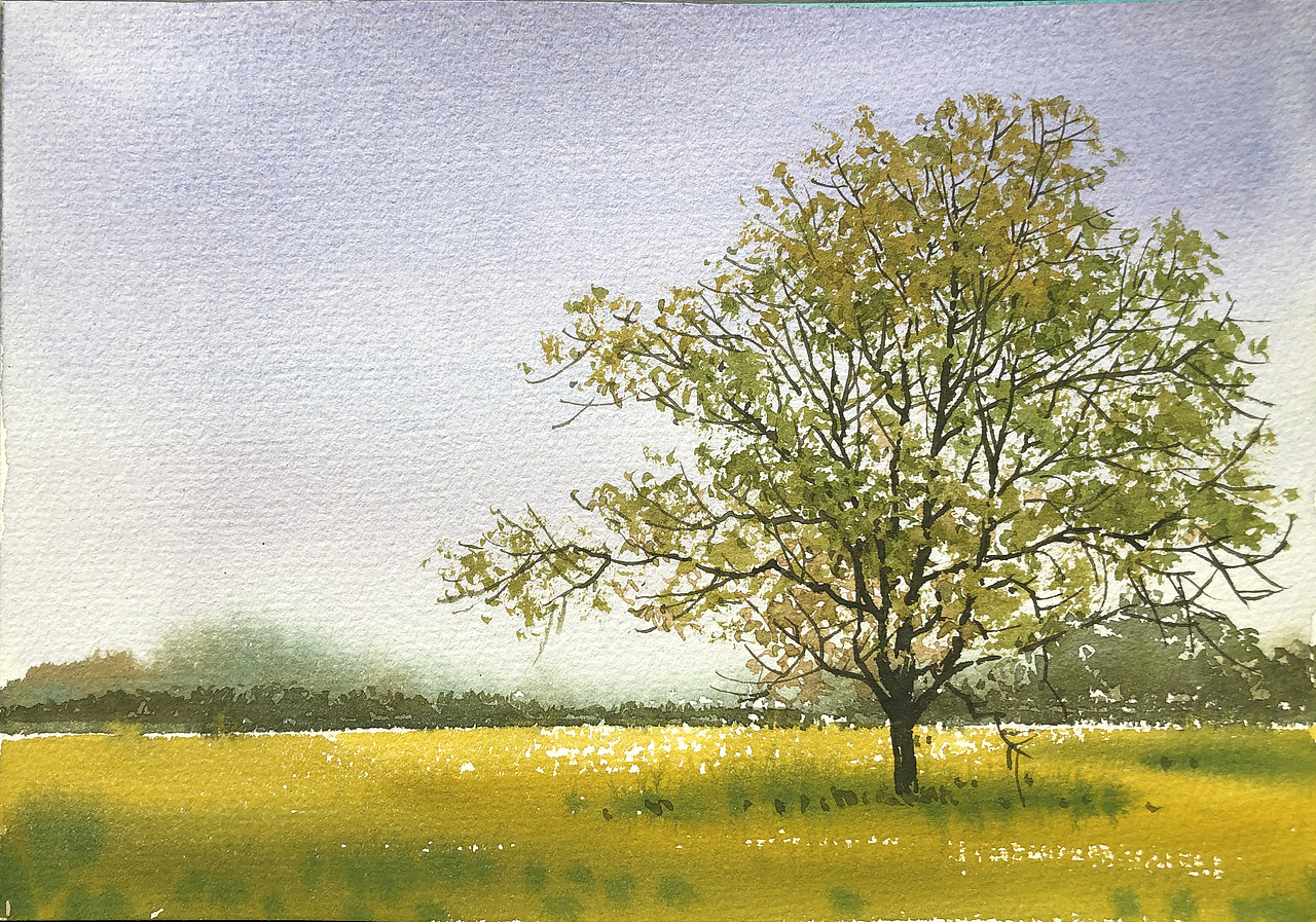 水彩风景——夏树生非花(2022 夏日里的树先生们)