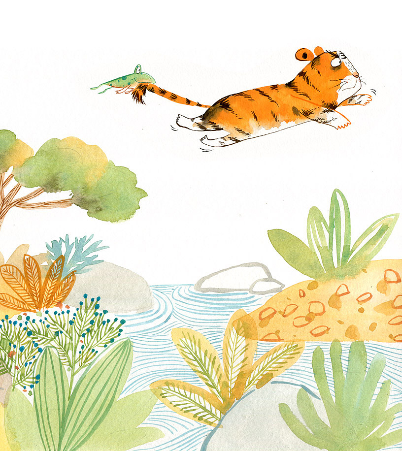 《老虎和青蛙》