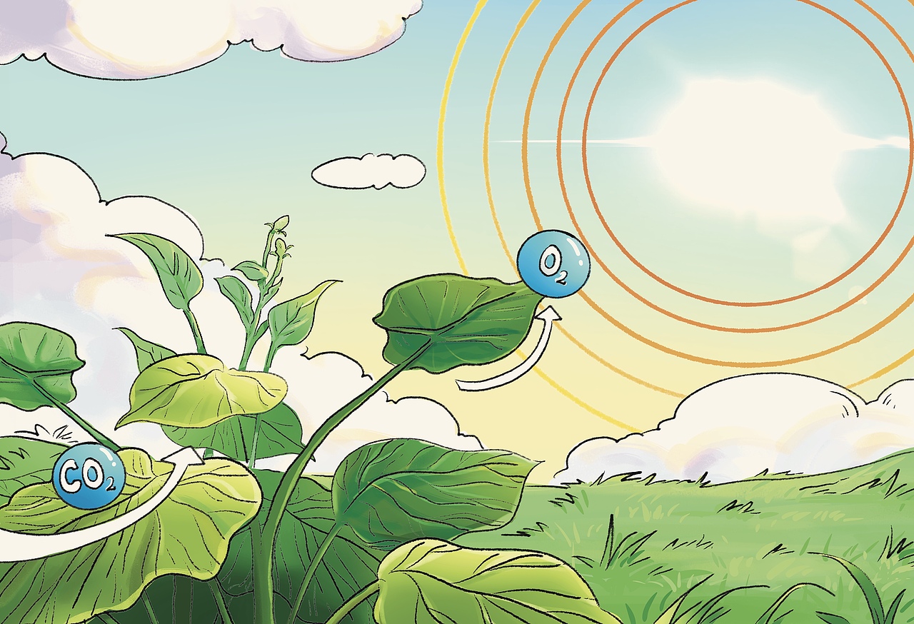 儿童教育插画绘本《谢谢你太阳》