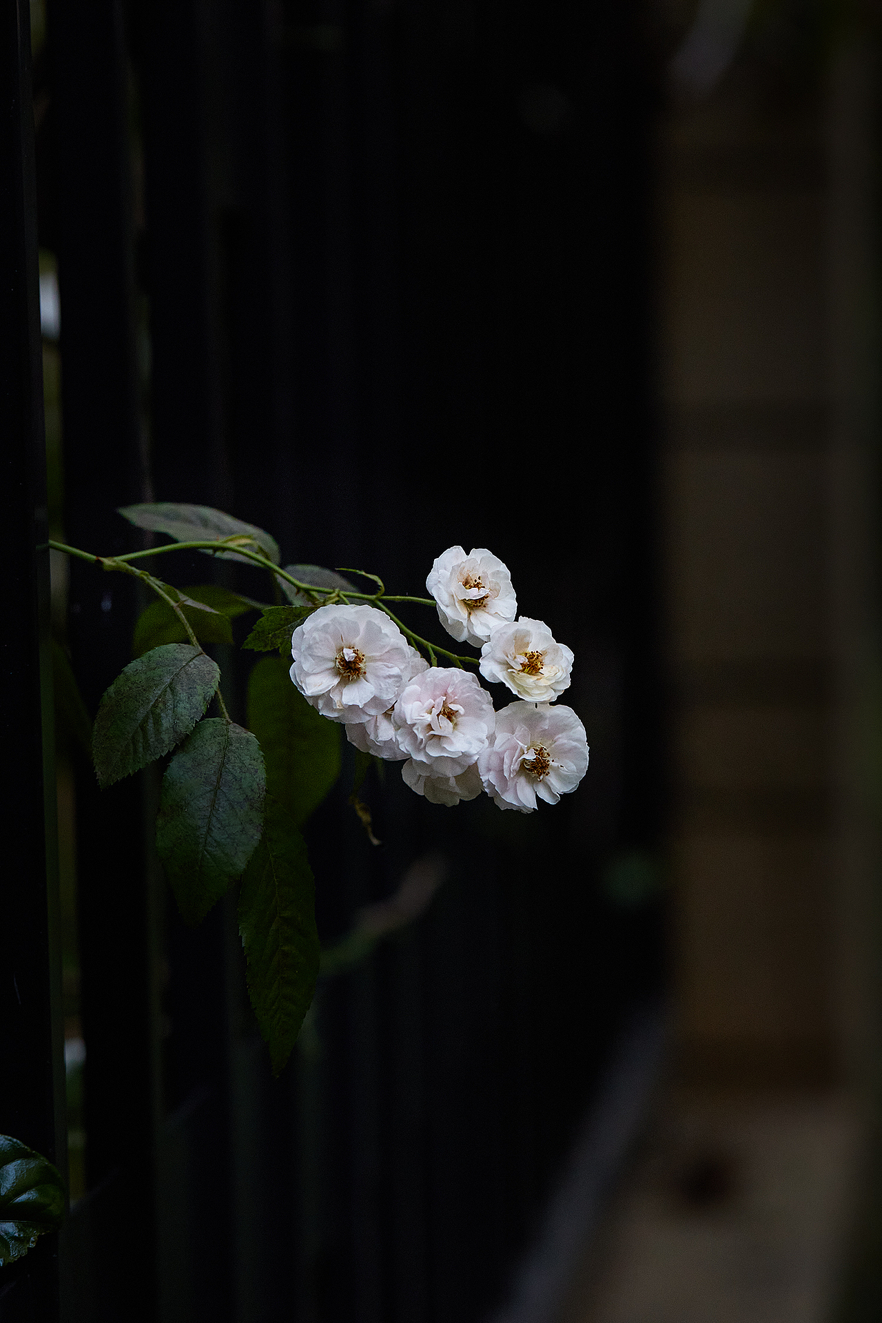 20220508试镜百微