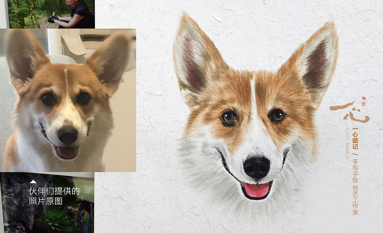 一心画记｜狗富贵、互相旺，狗狗手绘头像画 系列之3