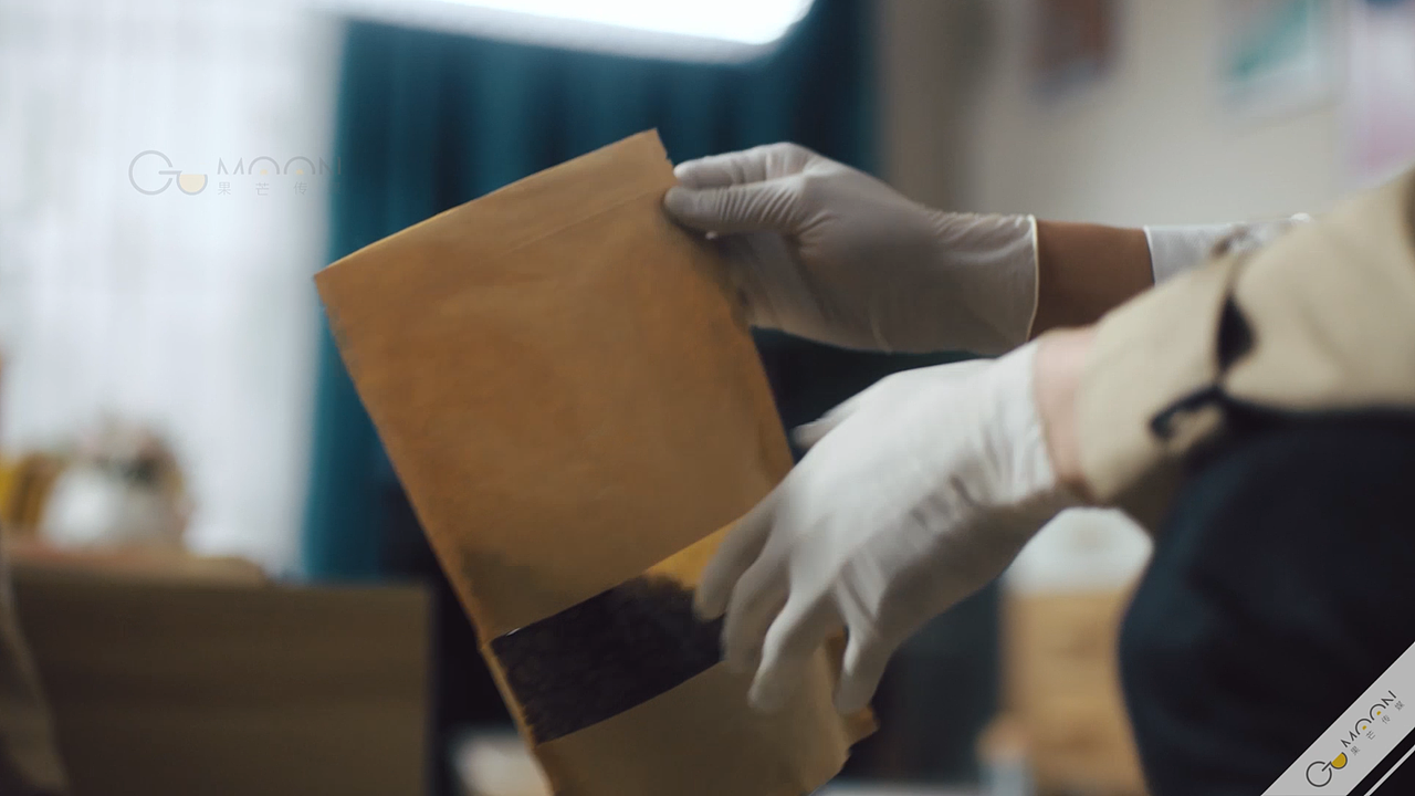 品牌TVC | 麦富迪×天猫大牌日「宠物侦探」