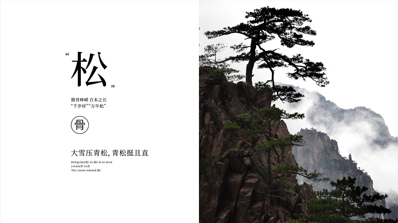 善式健康 vi设计及包装（图ZMzU2MjUzNjU2） - 品牌 - 站酷设计师小嘿次朗原创素材 - 站酷ZCOOL