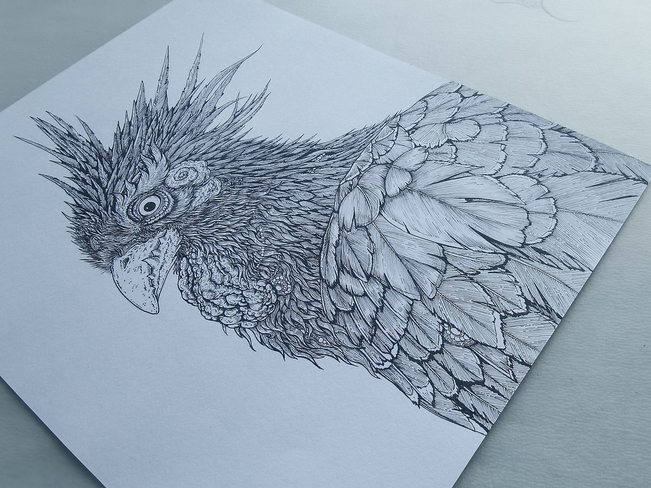 2024.05.15毣柞山海-北山经-蔓联山-䴔