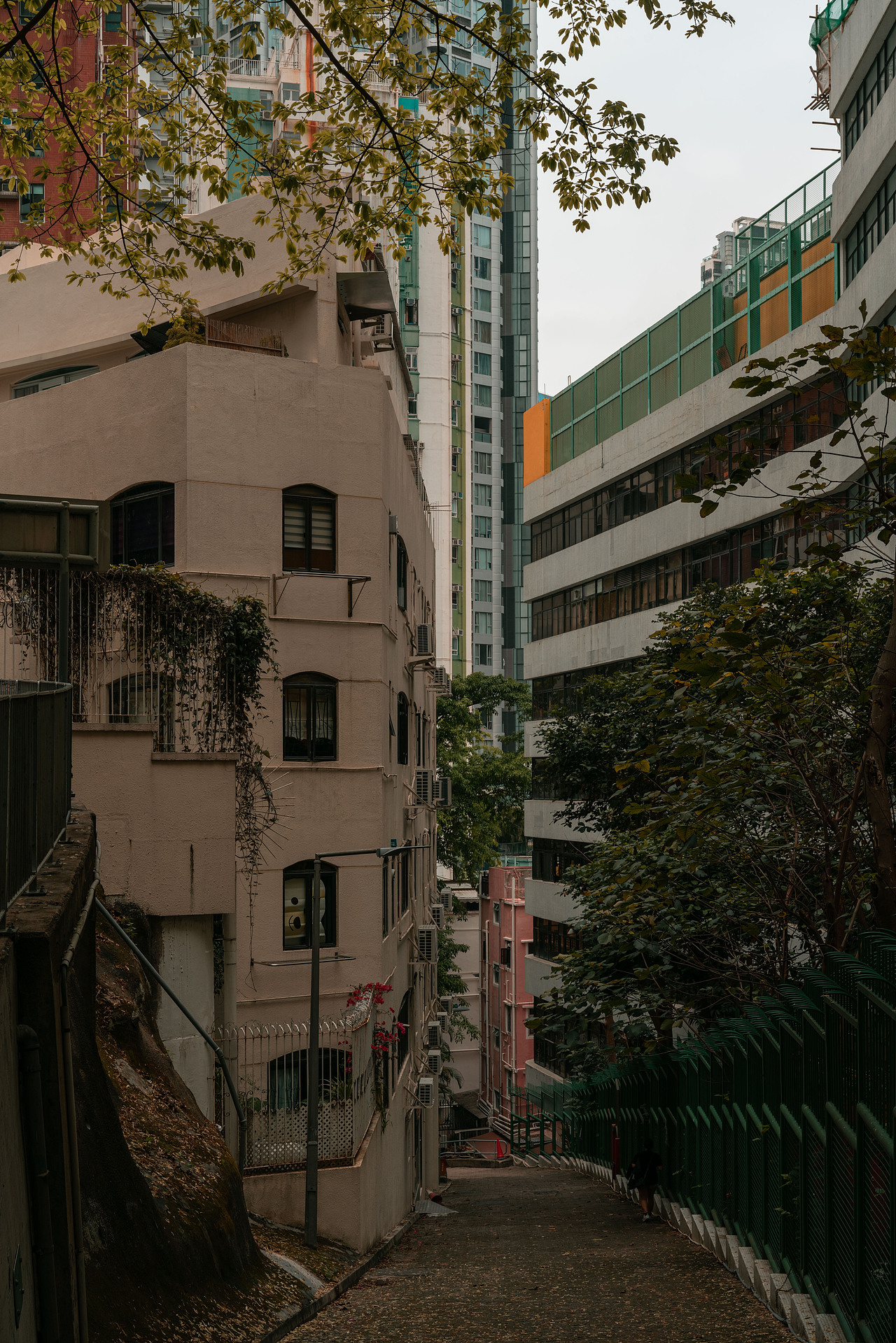 香港行记(二)