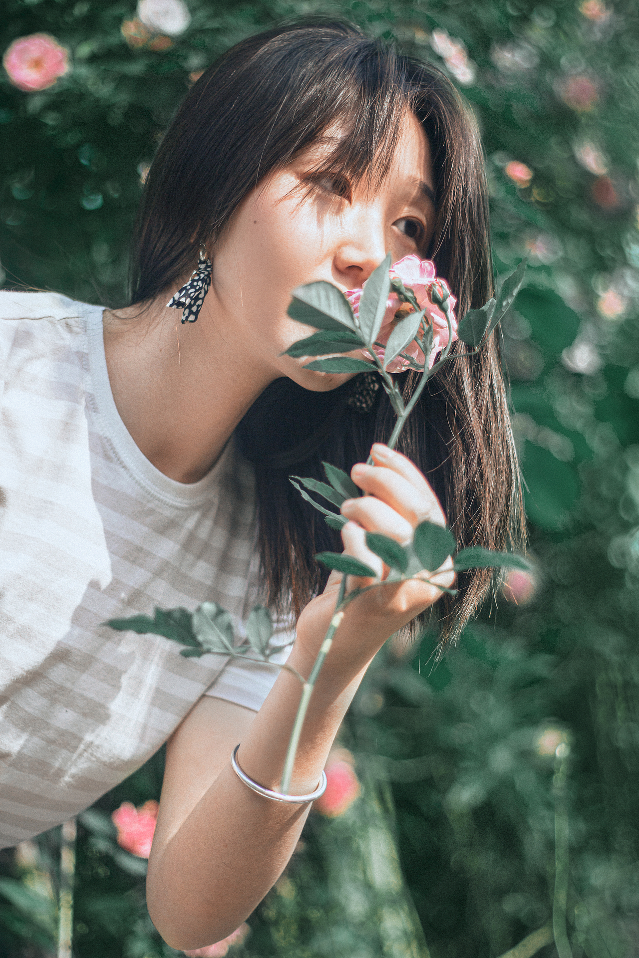 路边花墙的美丽情书