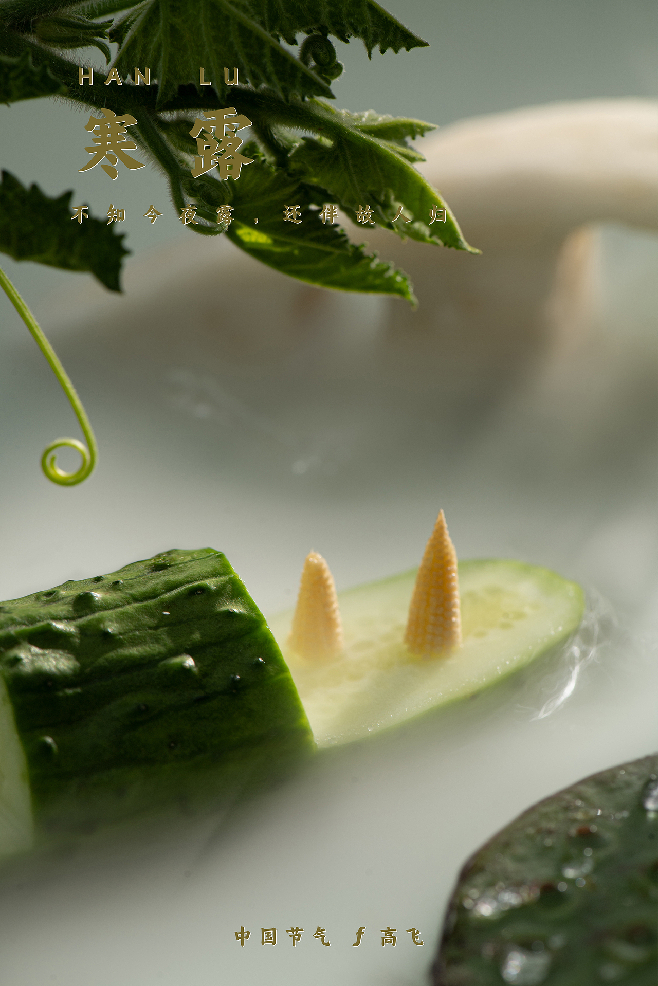 【中国节气】不言四时行 ——二十四节气 汇总合集(图ZMzYxMDA1MDcy) - 美食摄影 - 站酷设计师摄影师郜高飞原创素材 - 站酷ZCOOL