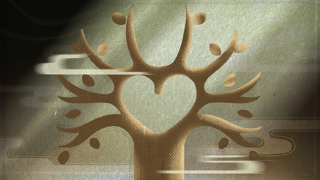 天真与功夫袜的一些图④